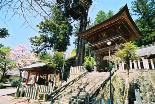 小国両神社の外観の写真です